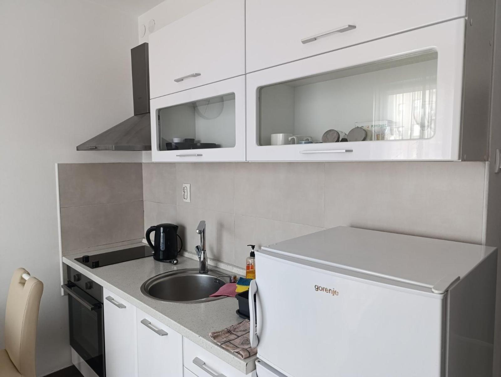 Nikola Ns Apartamento Novi Sad Exterior foto